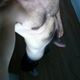 5be0df963a2f1_man_soker_kvinna.jpg
